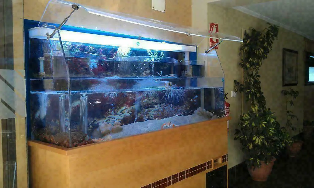 Taille Personnalisee Aquarium Acrylique Piscine Panneaux En