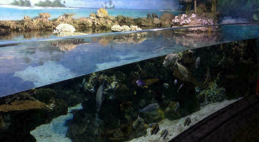 Aquariumschloss